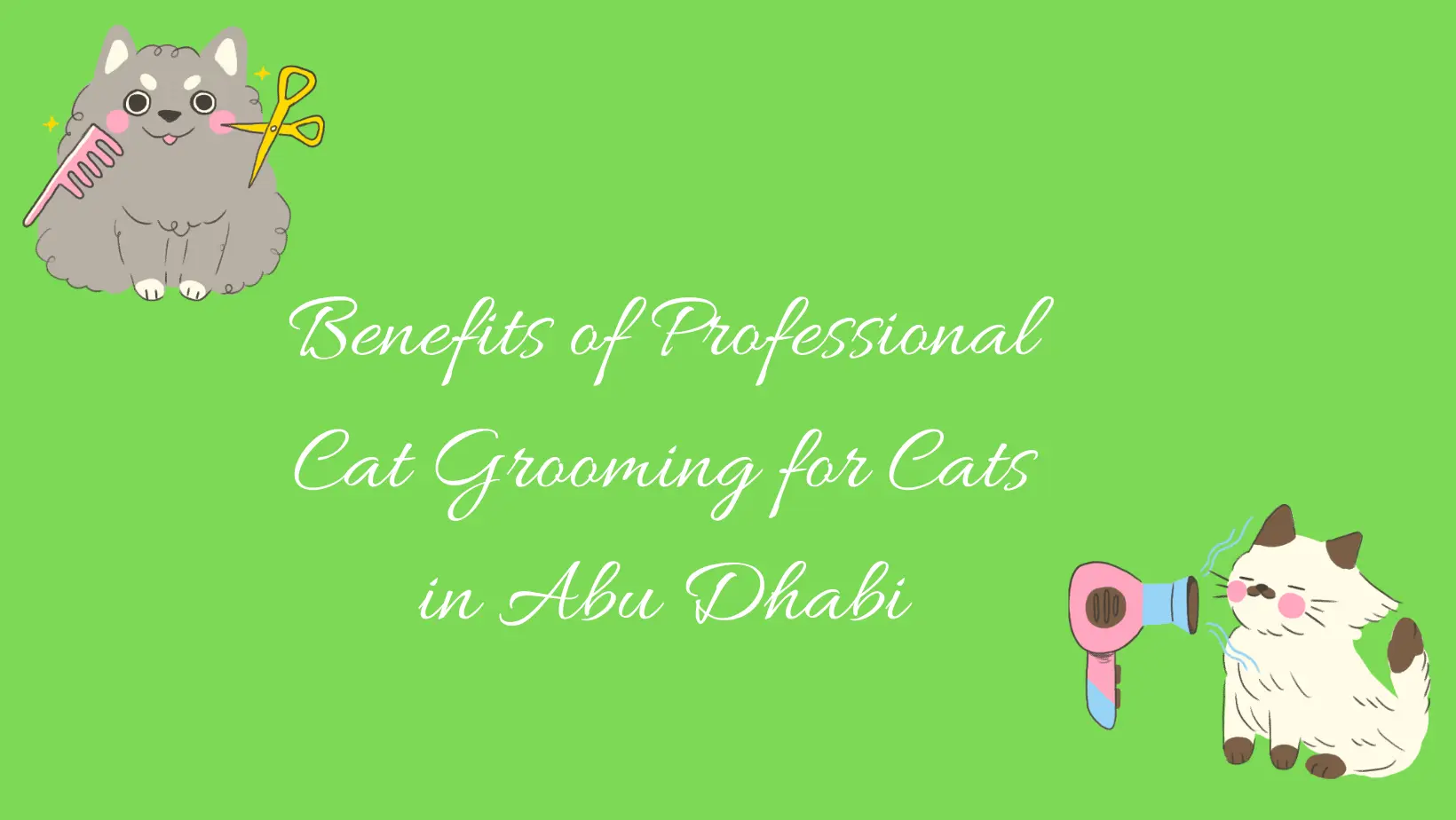 Benefits of Professional Cat Grooming for Cats in Abu Dhabi
