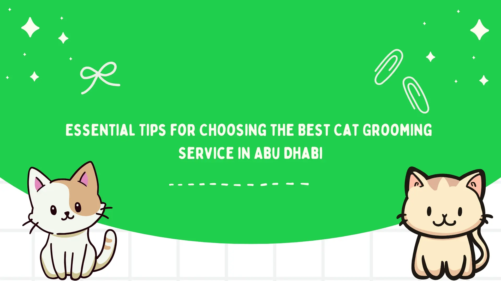 Essential Tips for Choosing the Best Cat Grooming Service in Abu Dhabi