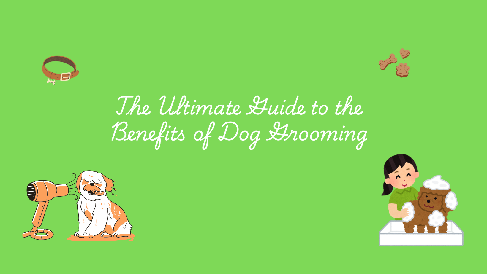 dog grooming benefits