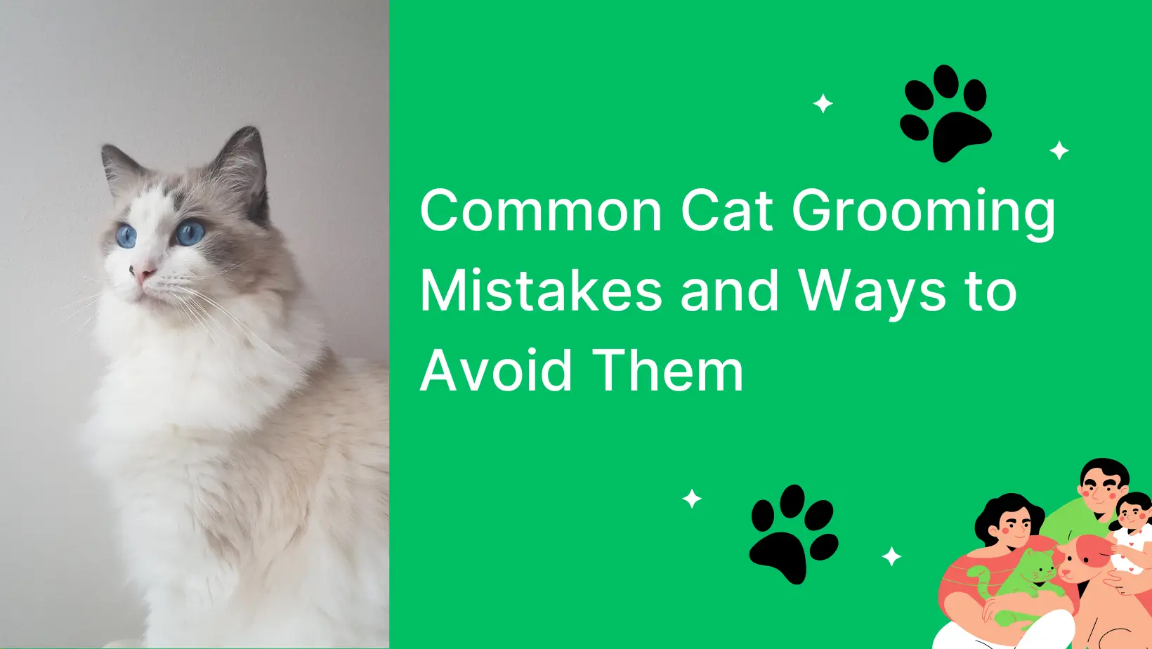 Common Cat Grooming Mistakes and Ways to Avoid them