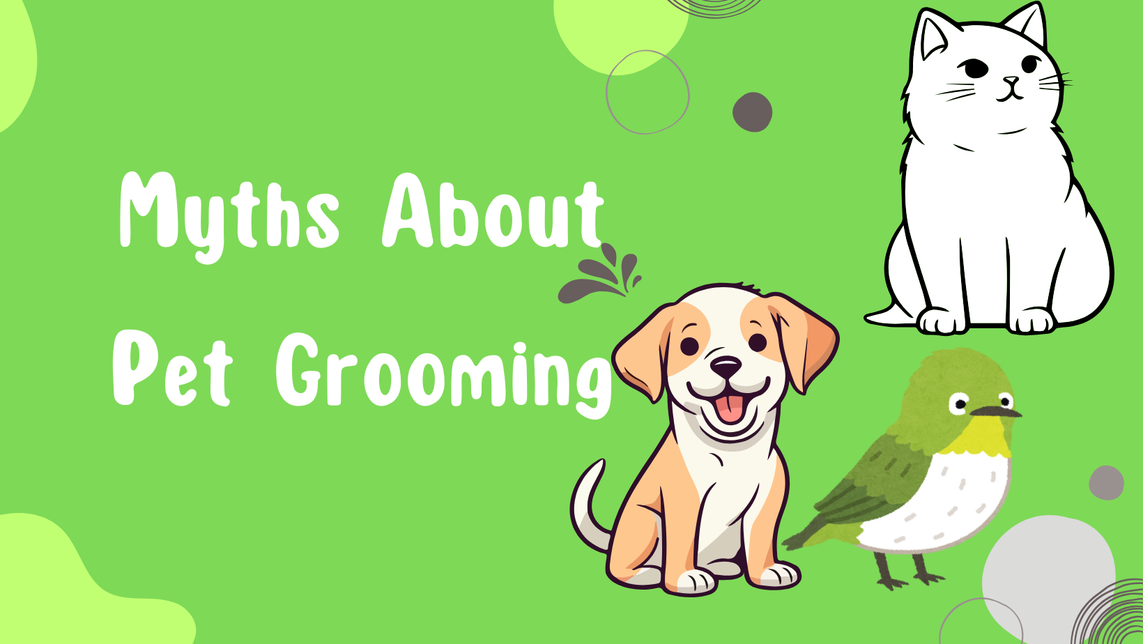 Myths About Pet Grooming