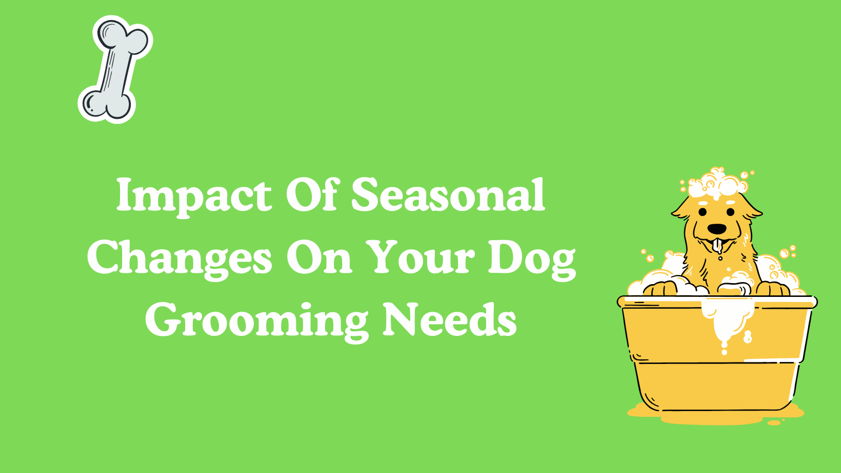 Impact Of Seasonal Changes On Your Dog Grooming Needs