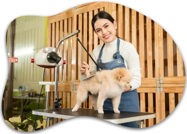 Pet Grooming in Abu Dhabi