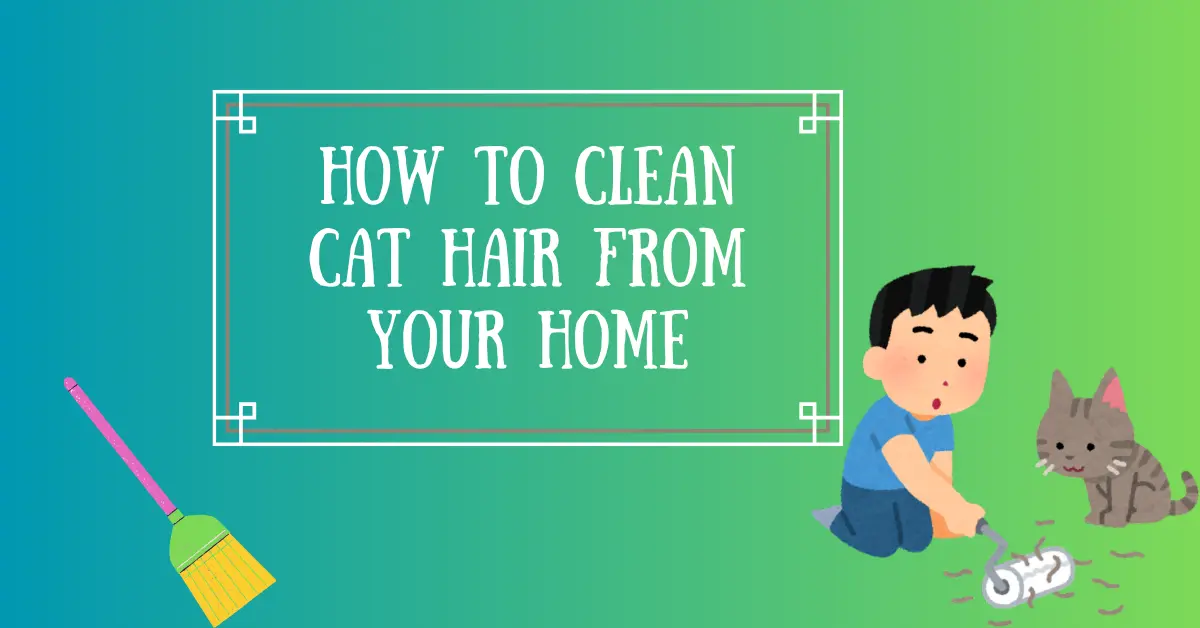 How to Clean Cat Hair from Your Home