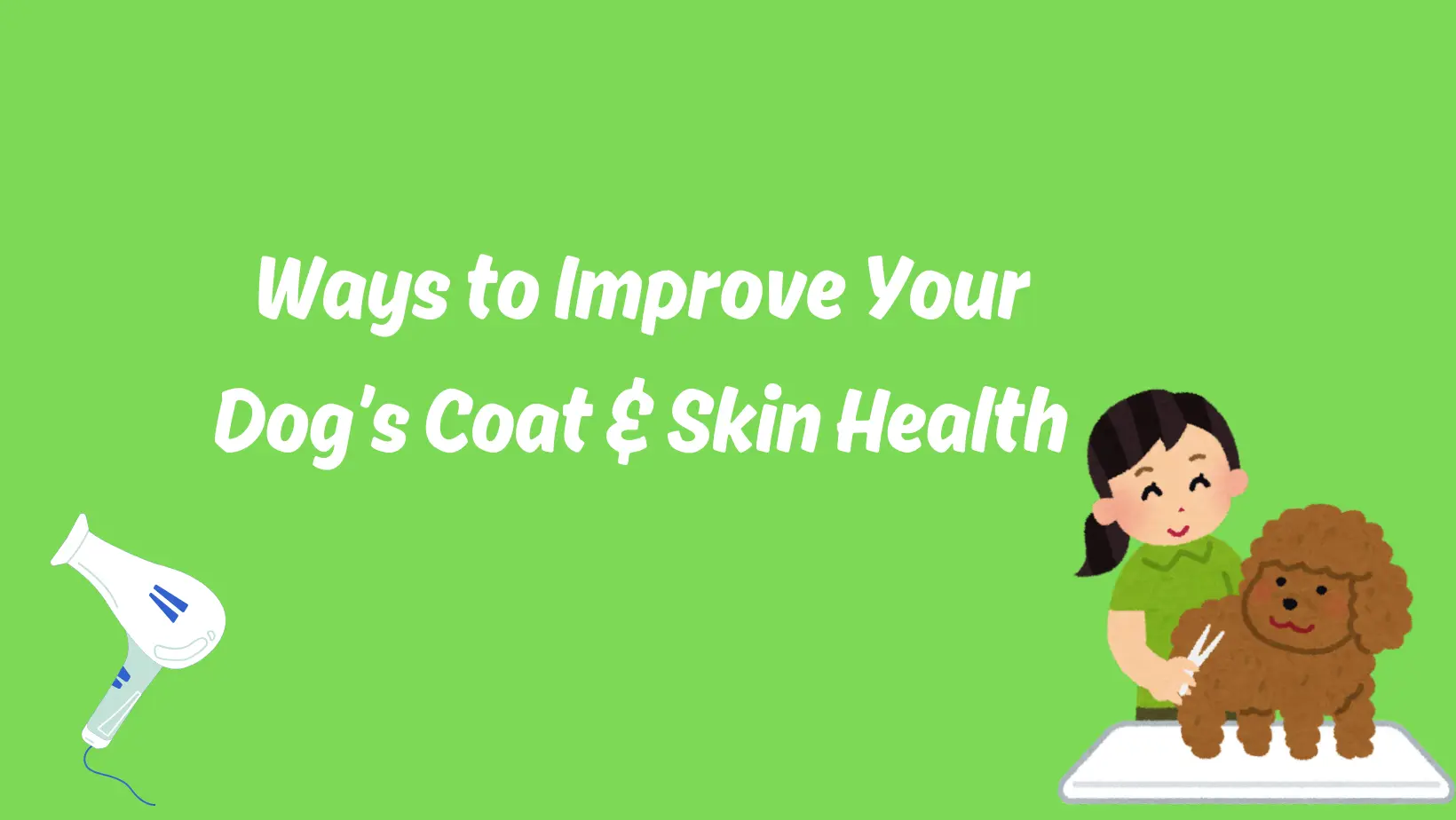 Proven Ways to Improve Your Dog’s Coat & Skin Health