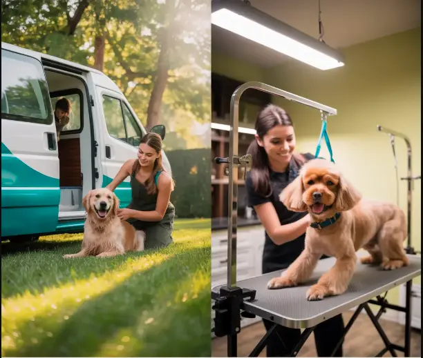 Mobile Grooming vs. Traditional Pet Salons